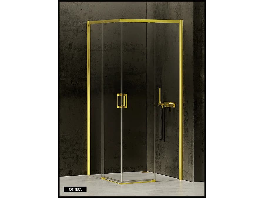 Porte de Douche Coulissante avec Paroi Latérale - 110 x 80 x 200 - OR LÉGER - PRIME